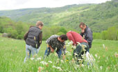 Sobac pour les prairies