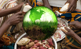 Solutions alimentaires