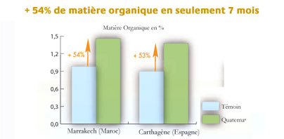 Augmentation de la teneur en matière organique et transformation rapide en acides humiques